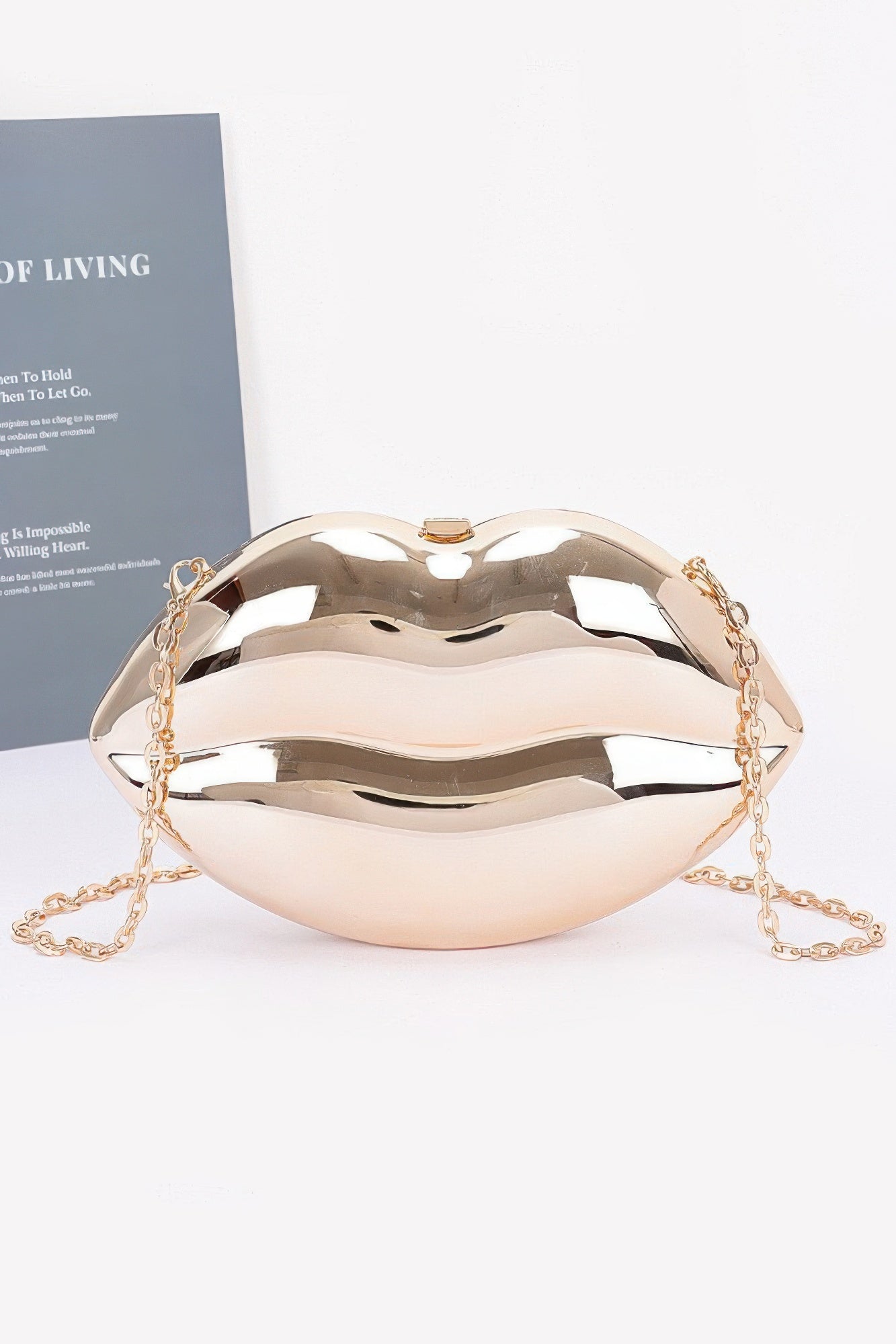Acrylic "Lips" Case Bag